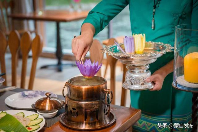 旅居云南大家拍丨共绘西双版纳魅力长卷