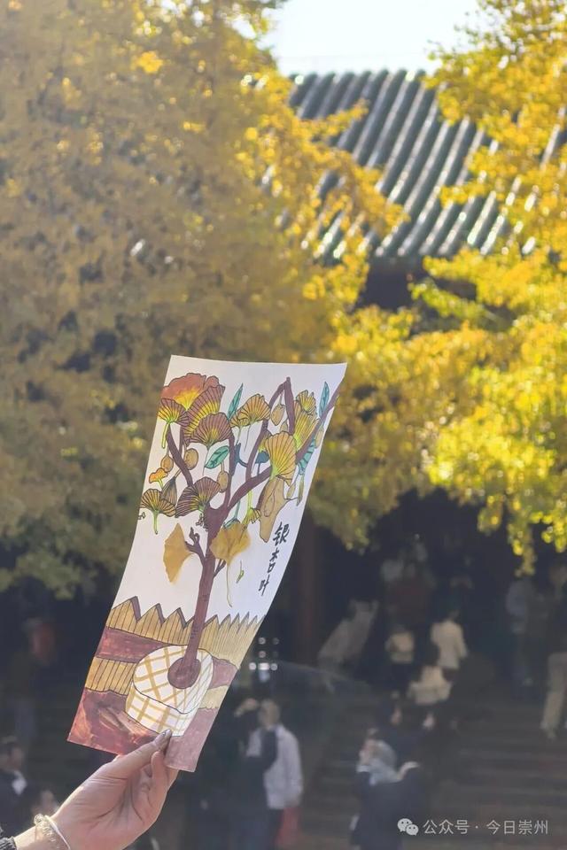 速来→崇州正上演初冬金色浪漫大片！