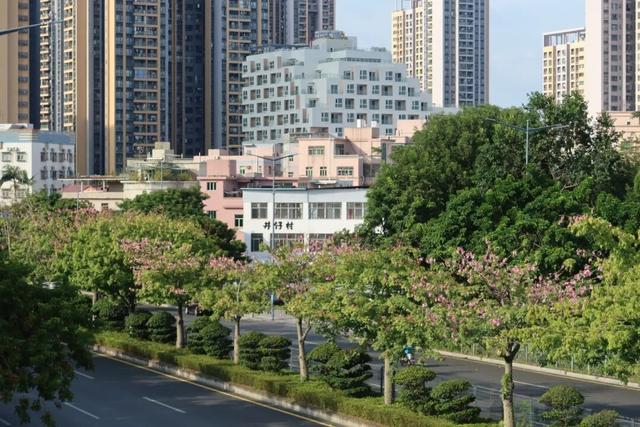 龙岗秋冬浪漫打卡指南来了！瀑布花海、空中花路…这份粉色攻略快收好！