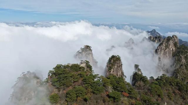 黄山秋色与云海同框的浪漫时刻 | 皖美冬日 | 第十五届安徽国际文化旅游节