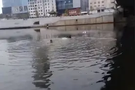 “我们是警察，现在就救你上去！”落水女子被成功营救上岸图片