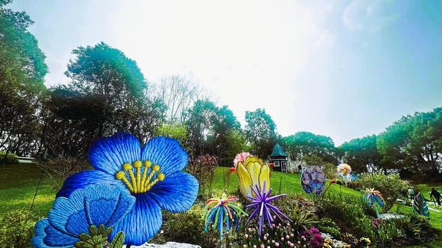 春天的打开方式，从公园徒步、赏花开启