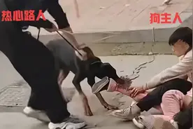 越闹越大!恶犬撕咬女童小腿，医药费8万，狗主人下跪：我是外卖员图片