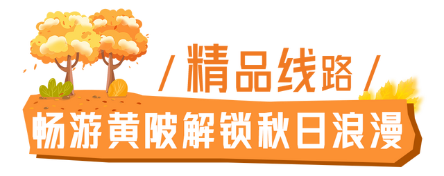 超级文旅日｜秋游黄陂，17嗨皮！