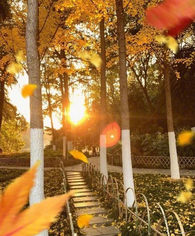 能量差时别找喜欢的人：越凑越没辙，不如先顾好自己