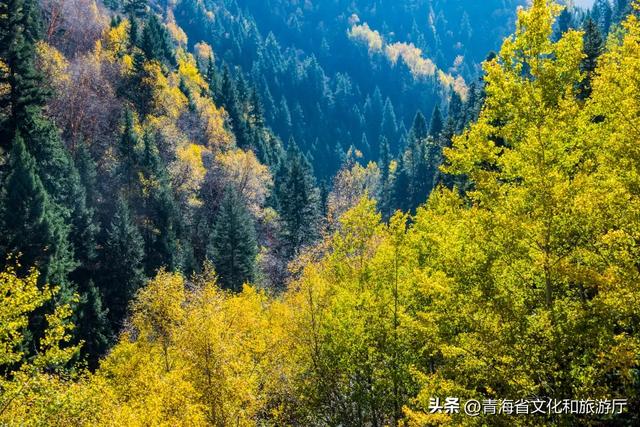 秋风叩黄南，一场与山水私语的秋日浪漫邀约