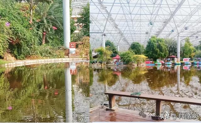 愉悦心情身体健——随“中供社”组团游览“熱代万果园”偶感