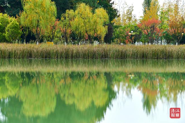 初冬时节，层林尽染，心随景动