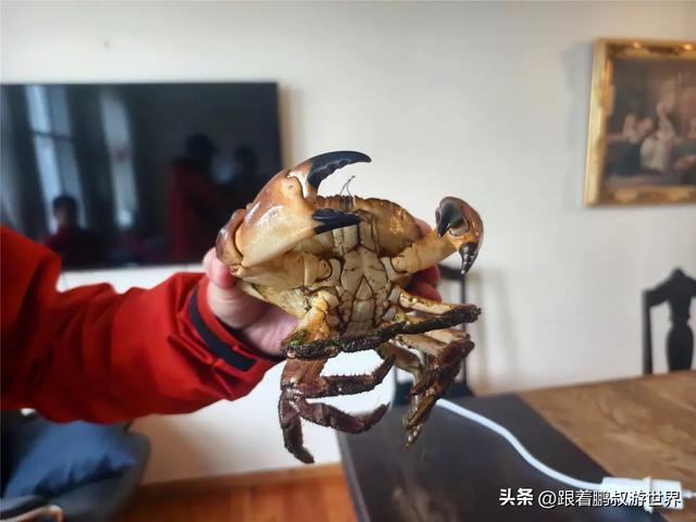 3大峡湾,6条景观公路,你能想象到的挪威美景都在这里