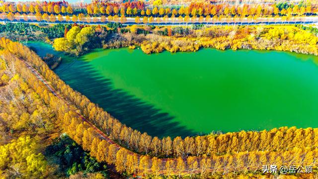 瞰齐鲁|初冬，来济宁赏秋……