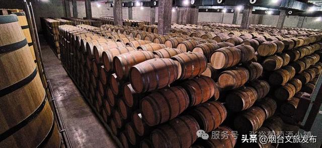 【乐游烟台】免费开放，烟台张裕长尾猫邀您全家嗨玩黄金周！