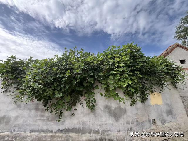 莱芜禹王山顶有座明初建立的古村：东平洲