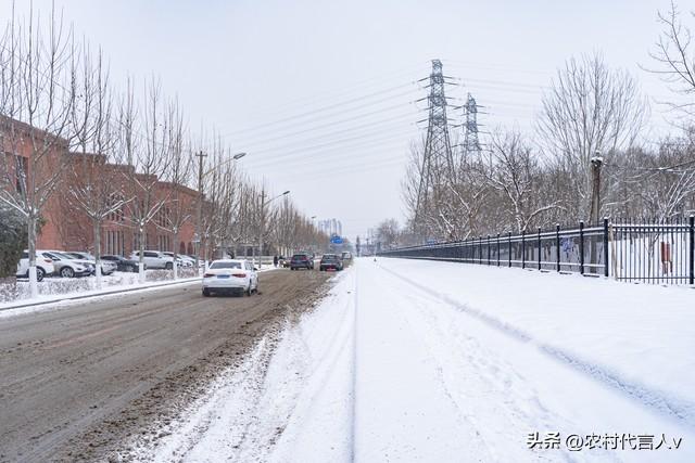 “立冬不过午，三九雪堵门”，明日立冬，今年冬天雪大吗？早了解