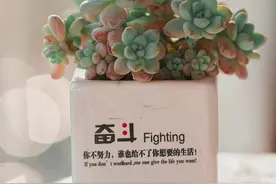 我发现能开窍的女生都有共性图片