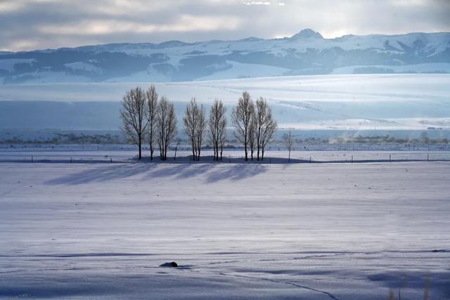 如要选一个冬季最佳拍雪景的地方,首选一定是它
