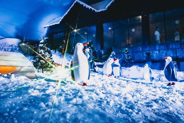 秋色渐退，要玩雪了！长春北湖湿地公园雪后景色如何这样动人心？