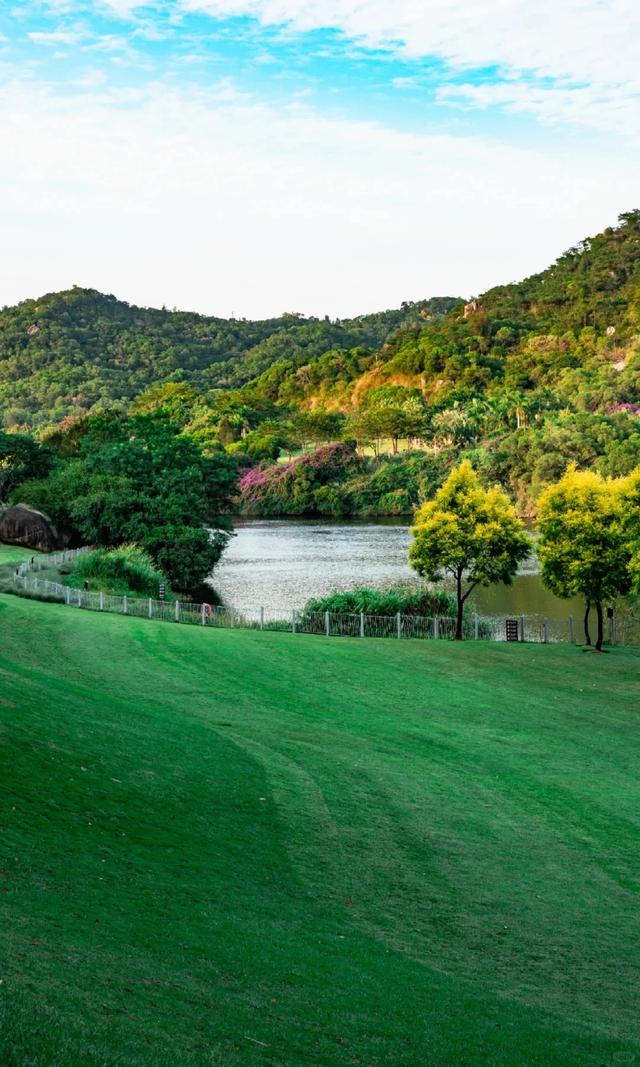 厦门的冬天给北方朋友一点小小震撼~