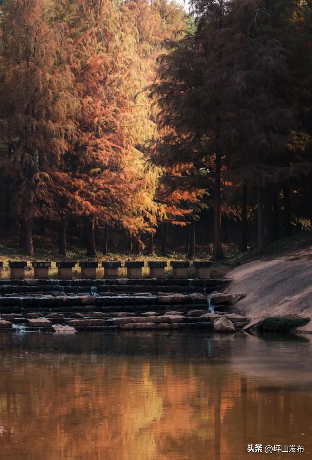 “都市栗人” 指南:坪山寻景品咖、暖过秋冬