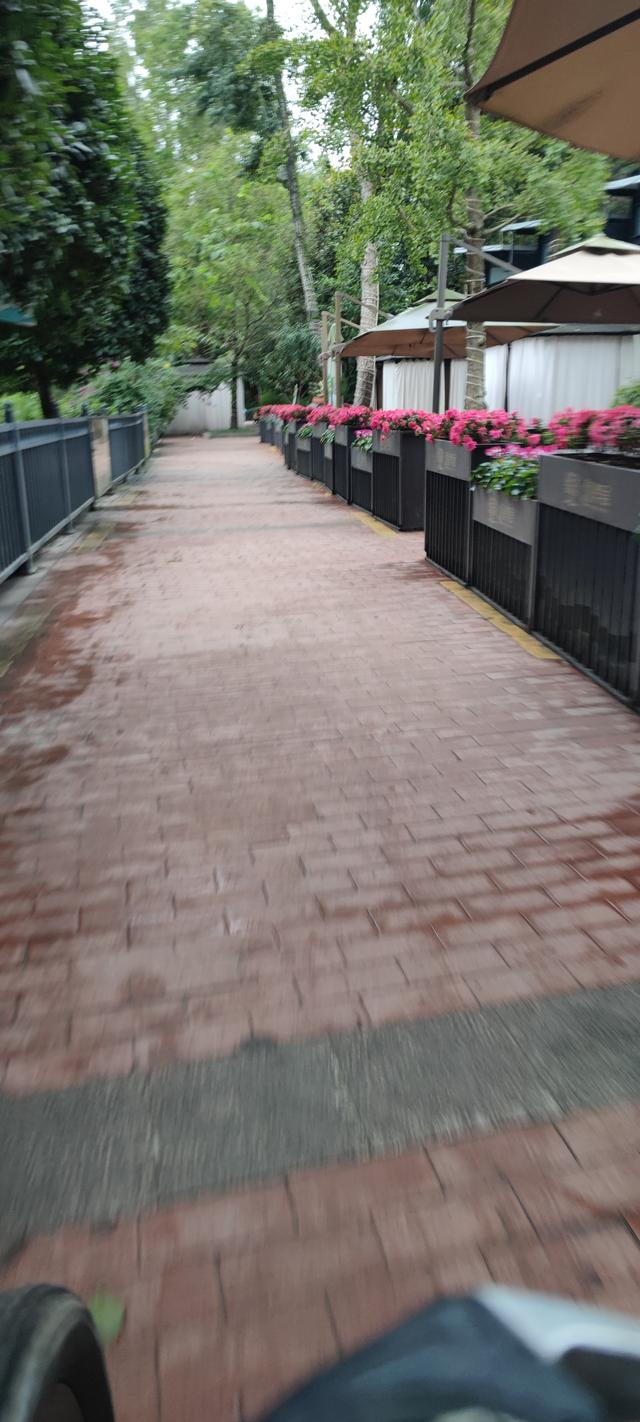 农历九月好风光