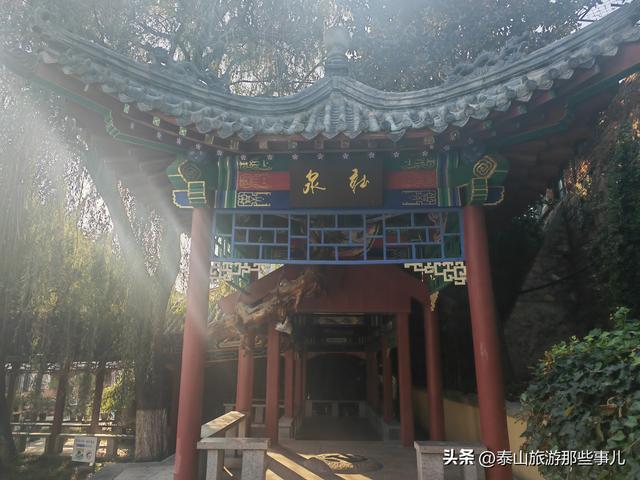 泰安：有一个城市园林，藏着1 眼泉水流芳千年，30个品种 600 盆秋菊