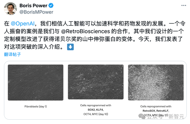 OpenAI用GPT-4b攻克诺奖难题！人体细胞返老还童逆转效率飙升50倍