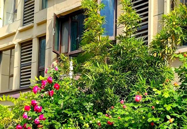 我发现了拯救焦虑情绪的好方法！一定要走出去