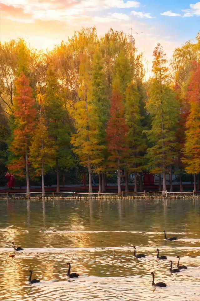 此刻，随手拍洛阳，美景如画！