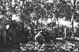 齐会战斗，冀中平原上的模范歼灭战，贺龙师长中毒坚持指挥图片