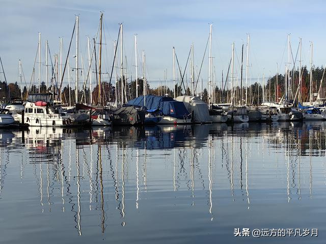 温哥华游记（四）