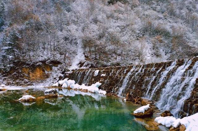 别等春天！陇南的冬日密语里，藏着限定版春日烂漫