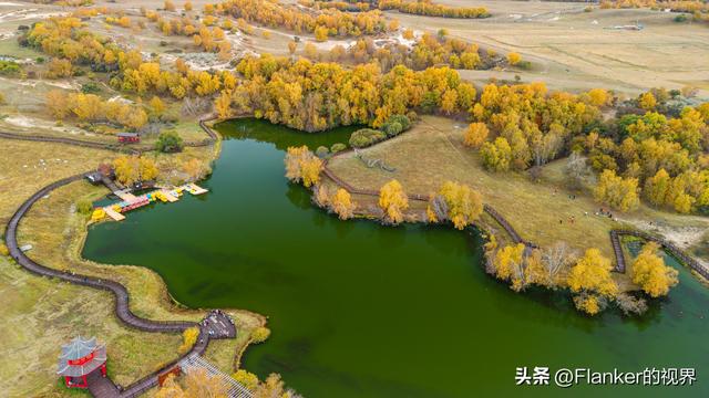 坝上寻秋续：一场穿越乌兰布统彩林的漫记
