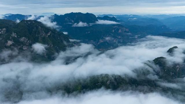 守护生态秘境——走进徽县三滩森林公园