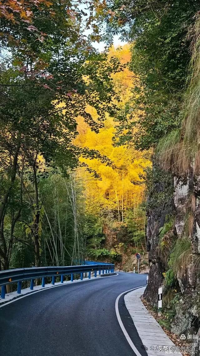 浙处丹霞地貌秋色斑斓超壮观，秋日必打卡之地！