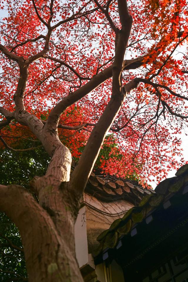 这里是江南诗词最多的城市,它的美有谁懂?