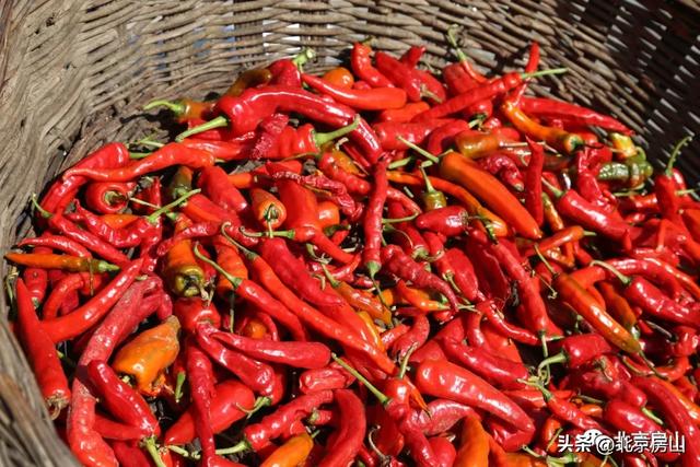 赤染宝水·把秋天绘成一幅画！