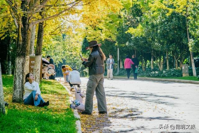 美爆！美爆！超全攻略！超出片！🤳昆明银杏黄金倒计时，抓紧时间冲~