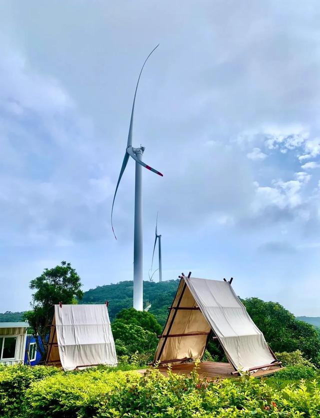 海味阳江：左手海鲜盛宴，右手千年渔风，快来这里赶海呀