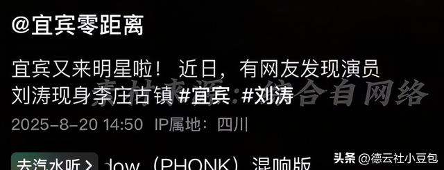 三亚冲浪李庄旗袍：刘涛47岁状态刷屏，谁还说中年不能灿烂？