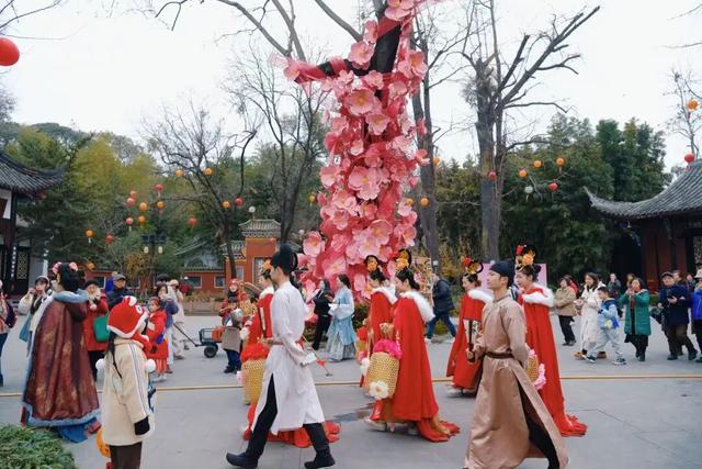 这个春节，望江楼公园“梅梅”出圈