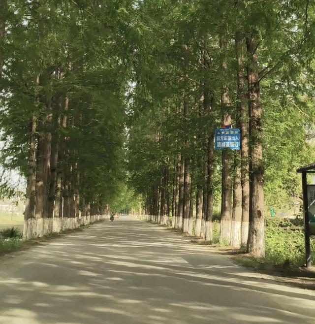 大别山老318国道,没落中的昔日辉煌与无尽回忆