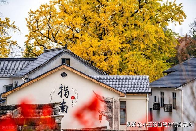 指南村秋季赏秋实测攻略！临川古道 + 梯田 + 三色秋景，不跑空指南