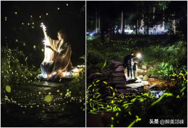 逃离喧嚣，奔赴天台