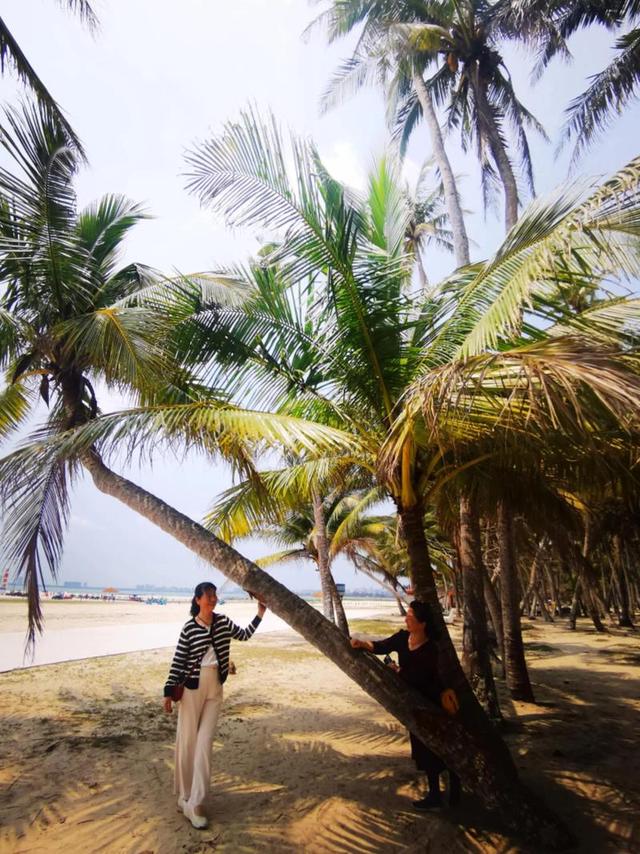 封关时刻！海南自贸港"晶莹切片"，从电影节到航天港的全球化进阶