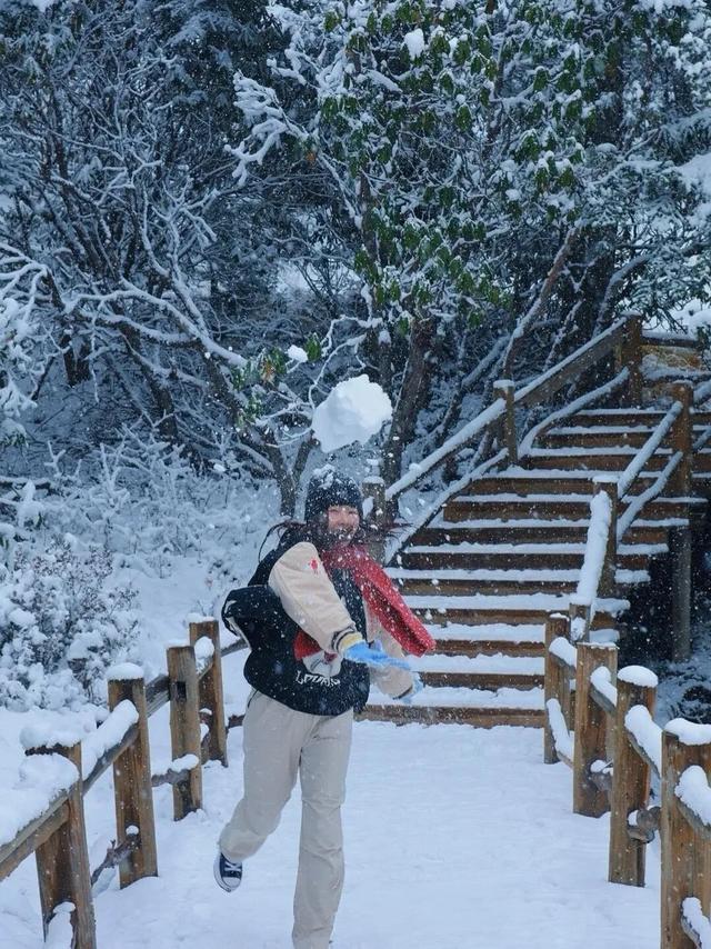 陇南，在冰瀑与雪野之间。
