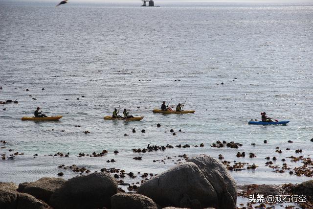 南部非洲：南非开普敦企鹅岛