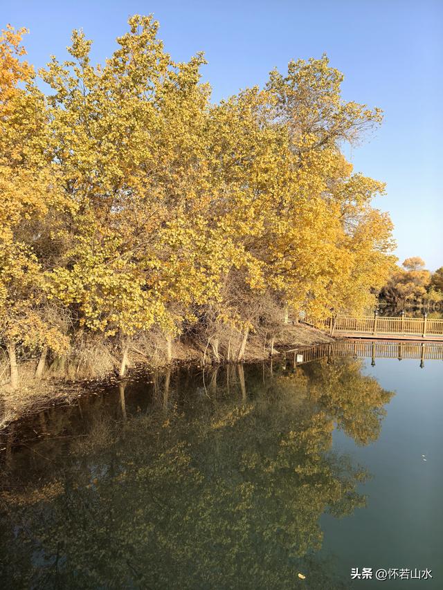 2025环南疆沙漠铁路背包自由行日记(6)---游览巴楚红海胡杨林景区