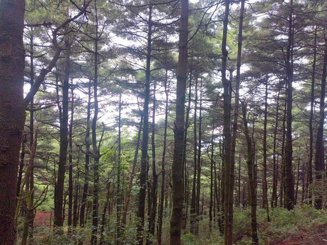 在苍山玉带路徒步