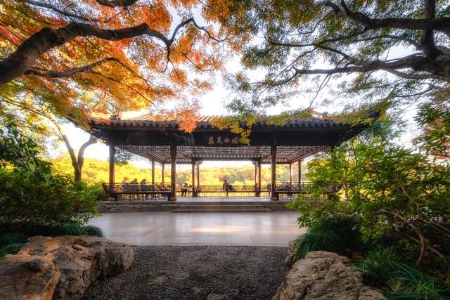 浙江深秋封神路线！红叶、银杏、古寺藏禅，承包江南最绝秋景！