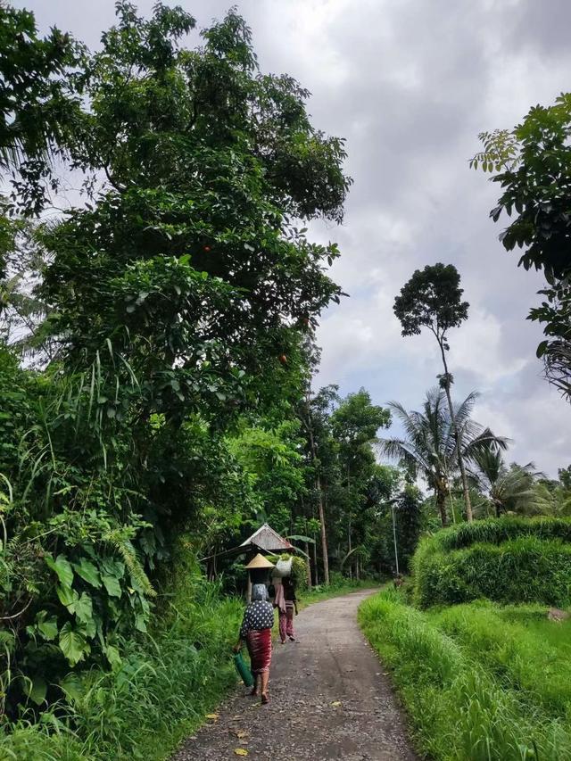 来去如风，骑着摩托穿越印尼爪哇岛乡村