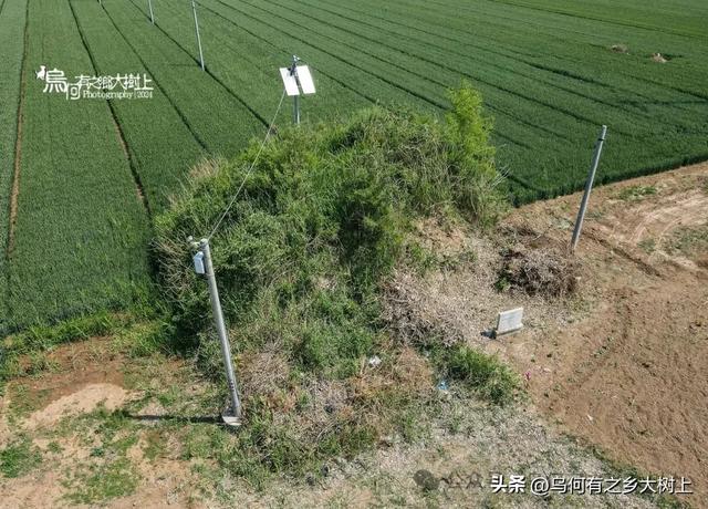 行车来到邯郸讲武城东,已经是东魏、北齐勋贵墓群的过渡带